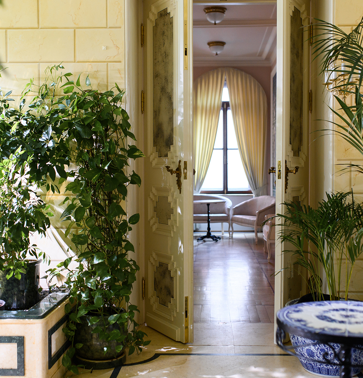 Комната с растениями